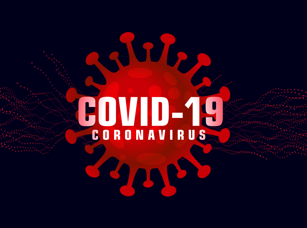 75366351 2086073594826494 753391221392539648 o